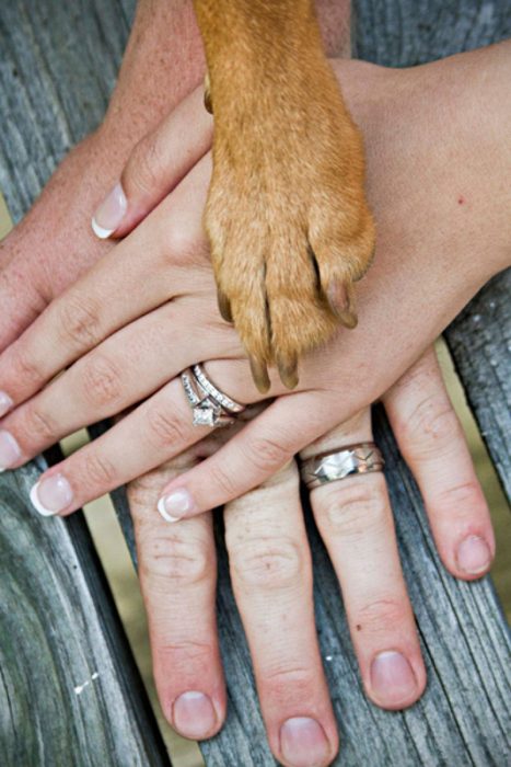 mano de hombre y mujer con pata de perro 