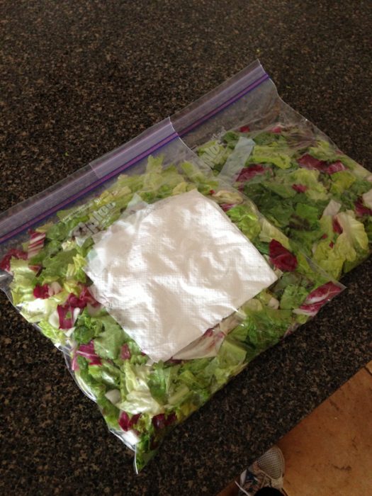 Lechuga con una bolsa de papel adentro para absorber la humedad 