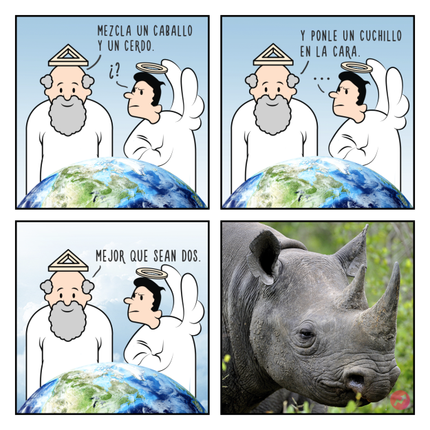 Cómics Dios creó al rinoceronte 