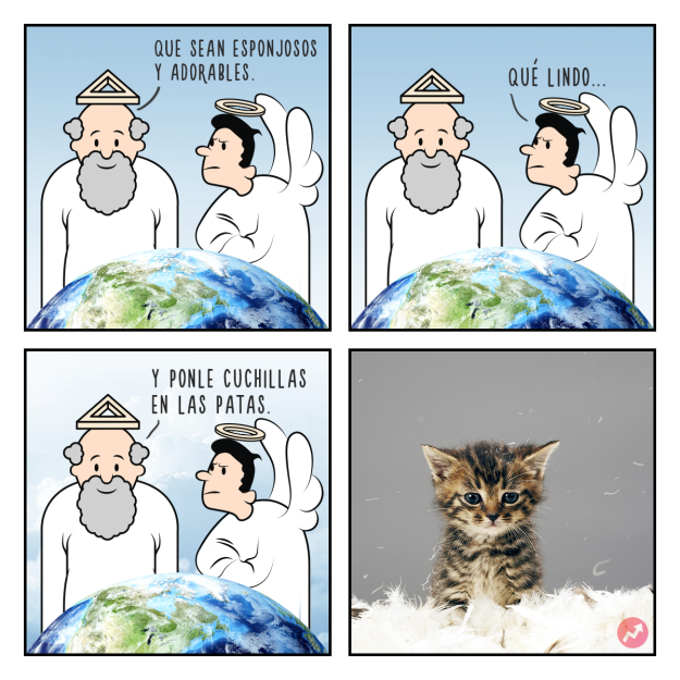 Cómics Dios creó a los gatos 