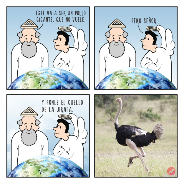 Cómics Dios creó al avestruz 