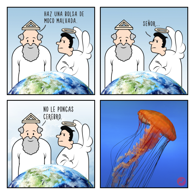 Cómics Dios creó a las medusas 