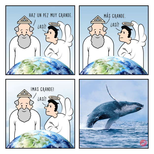 Cómics Dios creó a las ballenas 