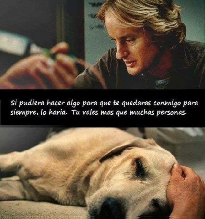 Escena de la película marley y yo chico despidiéndose de su perro