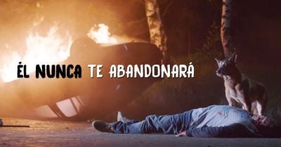 ‘Él nunca te abandonará’: Este emotivo video hará que corras a abrazar a tu perro y nunca lo sueltes