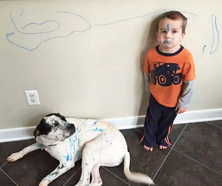 Niño pintando la pared y al perro con plumones 