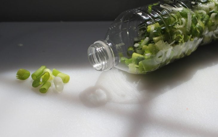 botella de plástico con cebollines 