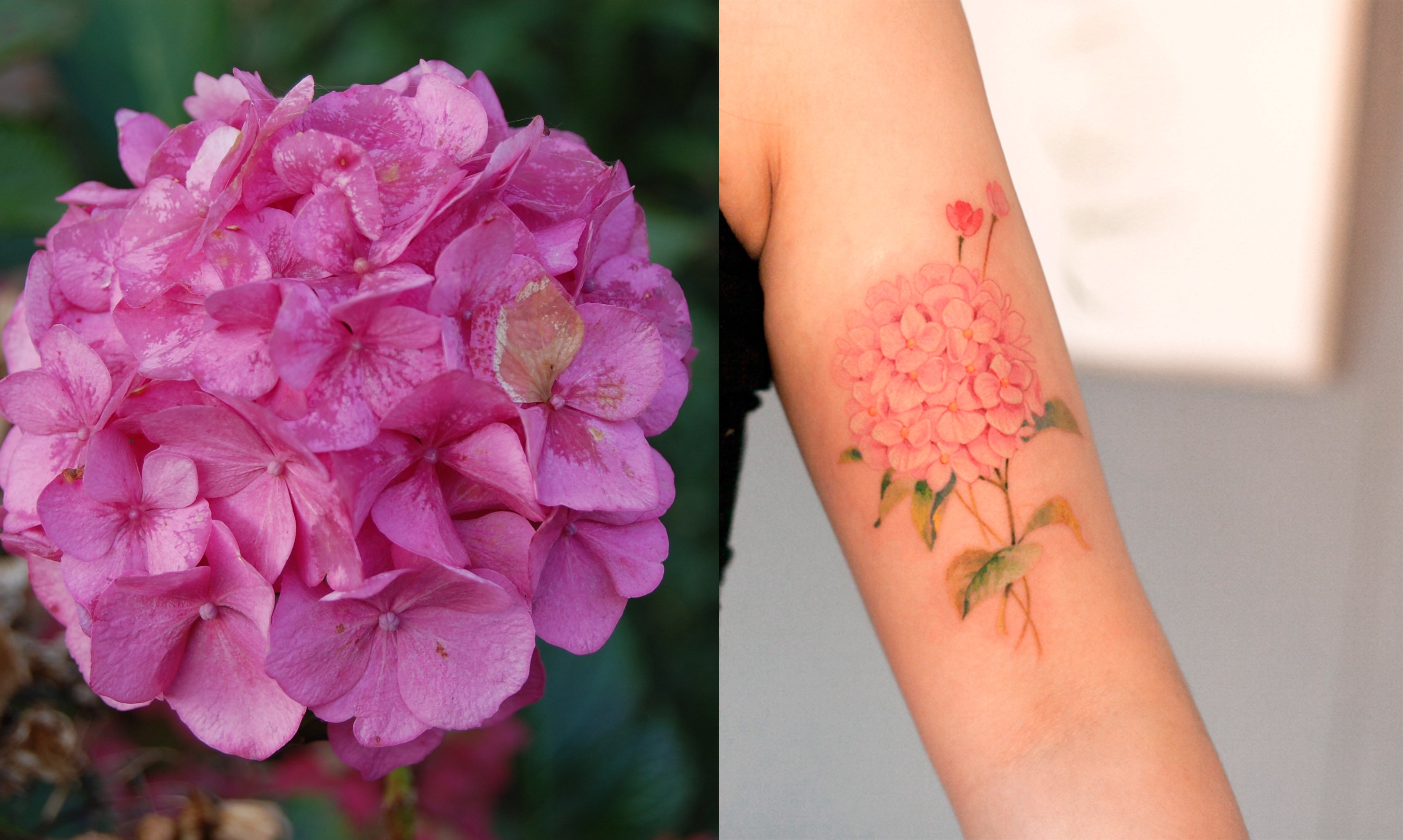 Qué flor deberías tatuarte según tu signo del zodiaco?