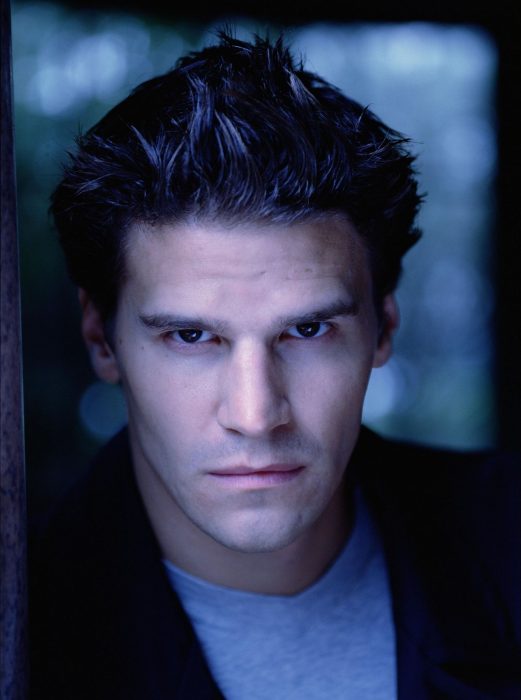 David Boreanaz