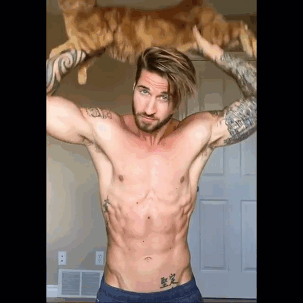 Travis DesLaurier trabajando espalda con su gato 