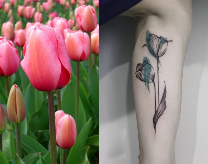 Tulipán y tatuaje de tulipán. 