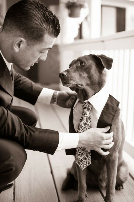 hombre agachado vistiendo a su perro con corbata 