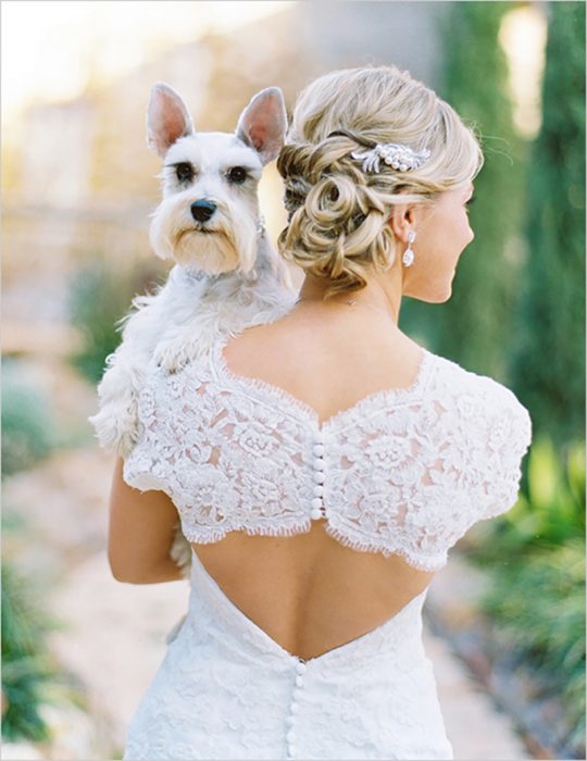 mujer novia con vestido blanco cargando perro 