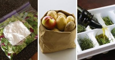 15 Sencillos trucos que te ayudarán a mantener tus alimentos frescos durante más días