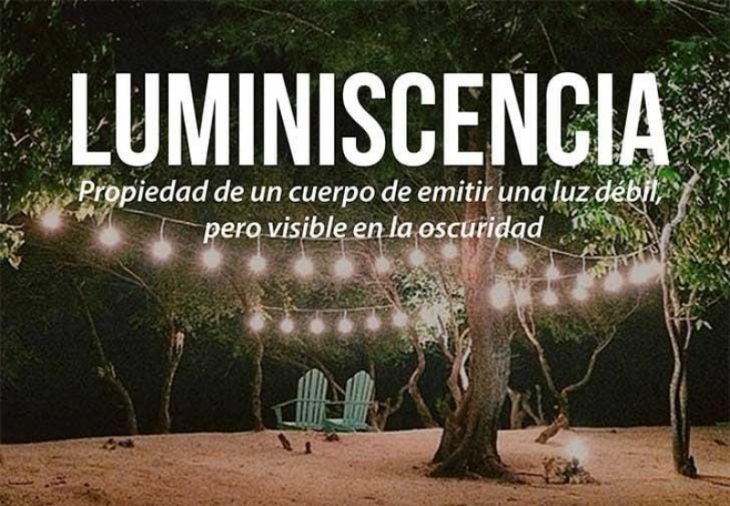 arbol con serie de luces alrededor con frase 