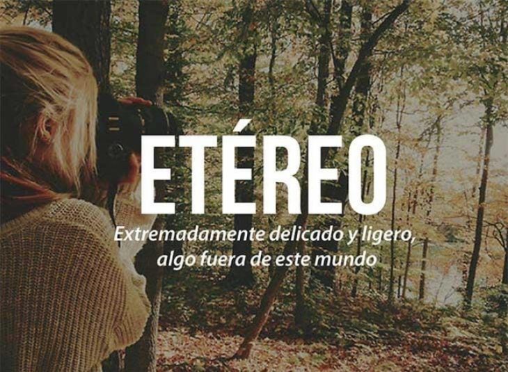 mujer tomando fotos en el bosque con frase 