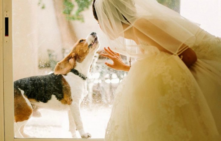 novia agachada con un perro y vestido blanco 