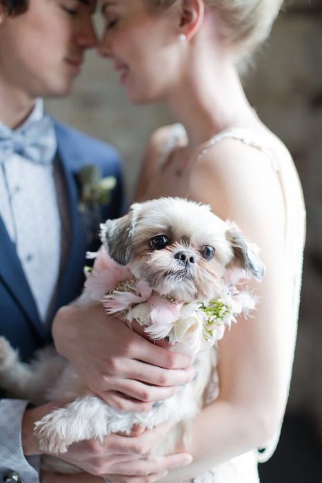 pareja de novios en una boda y su cachorro 