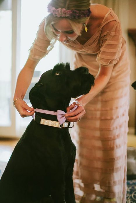 Cachorro negro con collar y moño rosa y novia en boda 