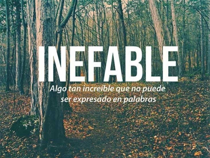 bosque y arboles con hojas en el suelo y frase 