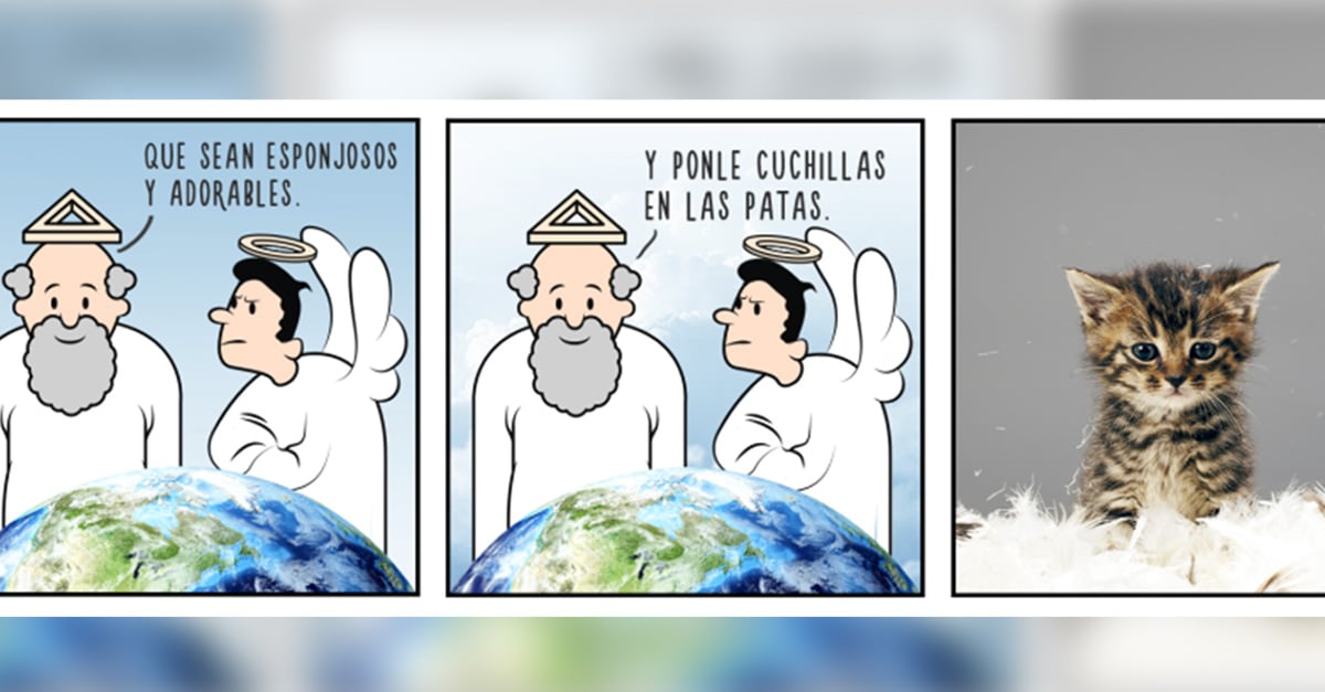 13 Ilustraciones sobre cómo Dios creó a los animales