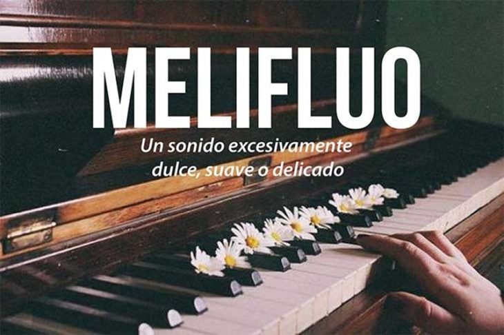 piano con manos de mujer y flores blancas con frase 