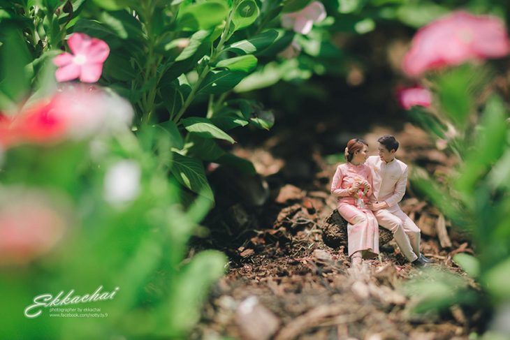 hombre y mujer sentados en un jardin y flores 