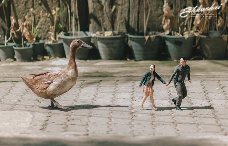 pareja en escenario miniatura con pato 