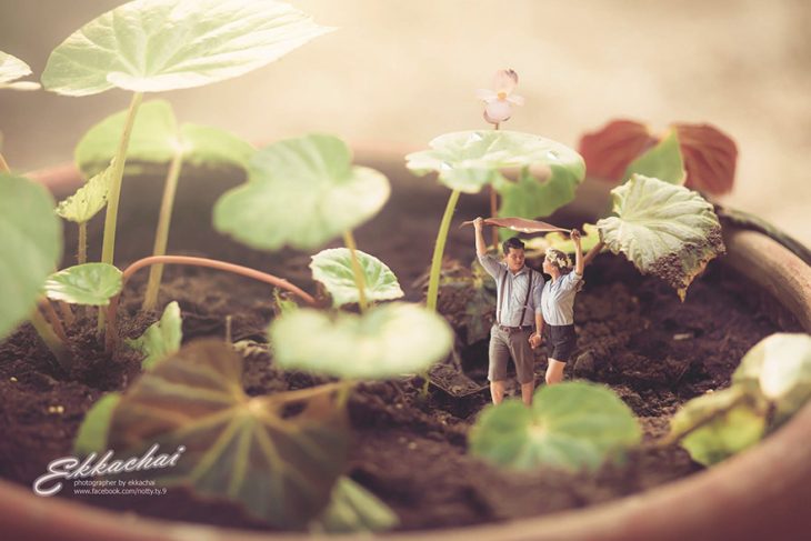 pareja en escenario miniatura bajo las plantas 