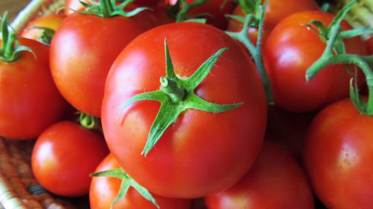 Monton de tomates rojos 