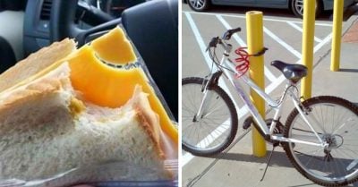 20 Imágenes de personas realmente estúpidas que te harán sentir toda una genio