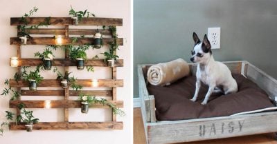 20 Creativas y divertidas ideas para reutilizar palets y decorar hacer de tu hogar el mejor lugar