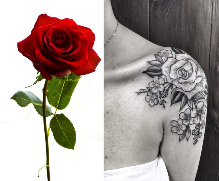 Rosa y tatuaje de rosa. 