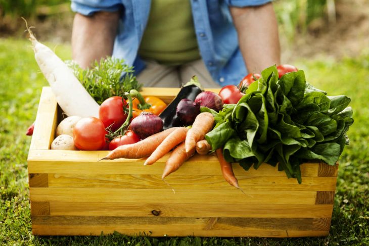 Vegetales cultivados de forma orgánica. 