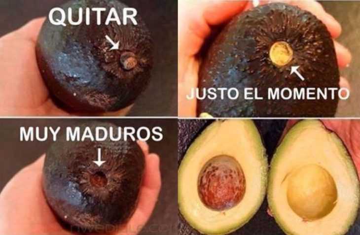 Aguacate