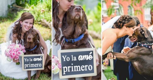 ESTO EXPLICA POR QUÉ TU PERRO DEBE ESTAR EN TU BODA