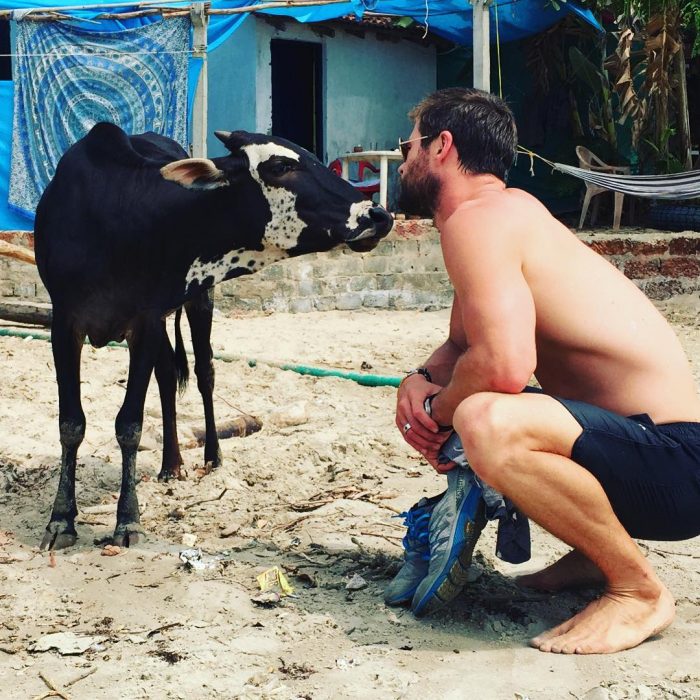 hombre en bermudas al lado de vaca 