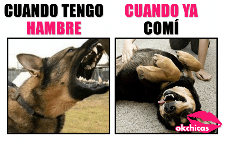 Meme okchicas: cuando tengo hambre vs cuando ya comí 