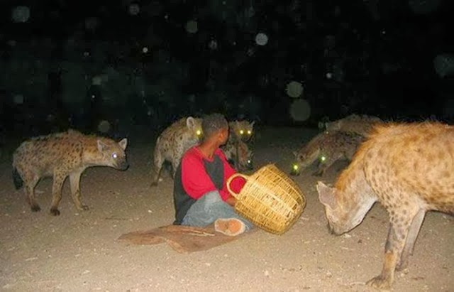 hienas rodeando persona