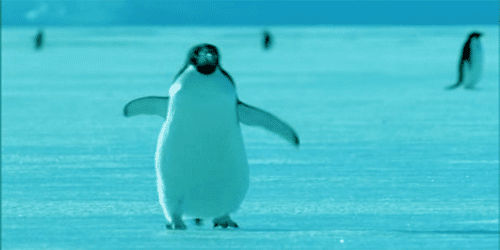 GIF Pingüino caminando sobre el hielo
