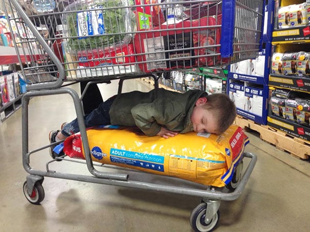 Niño durmiendo sobre las croquetas en el carrito del supermercado 