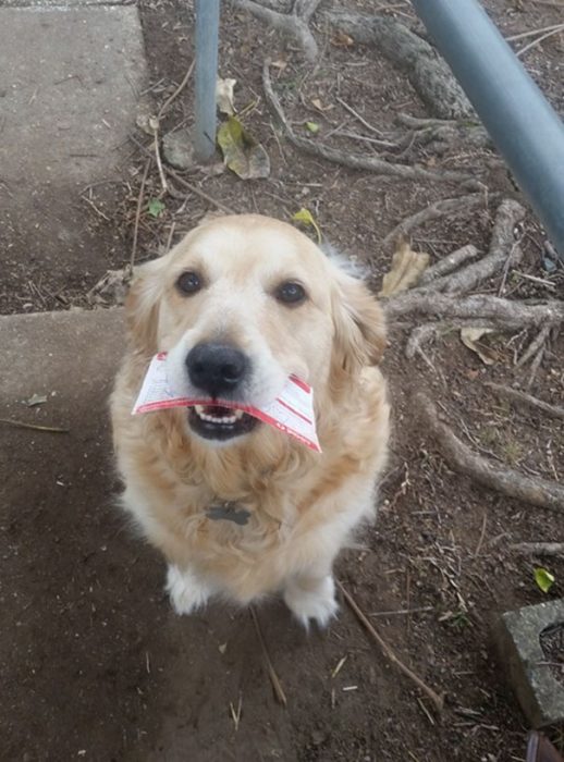 Parra Pippa recogiendo el correo 