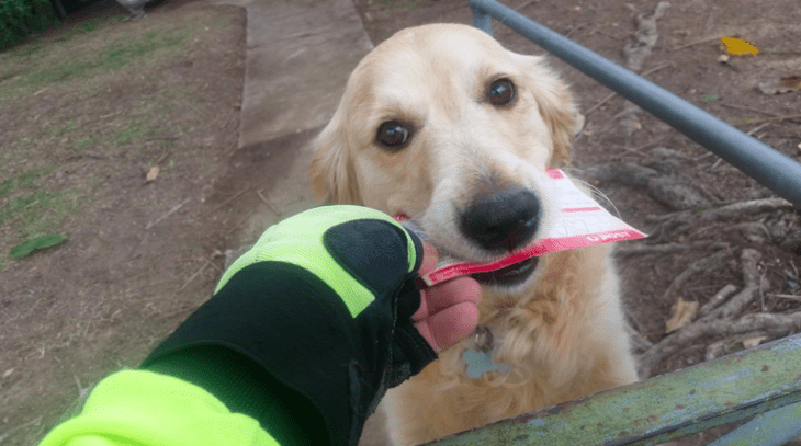 Cartero entregándole el correo a un perro 