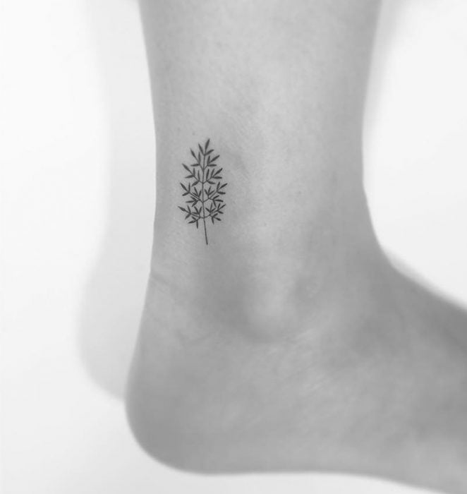 Tatuaje de bamboo. 