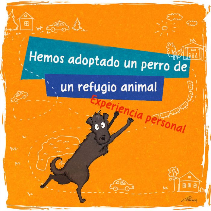 Este tierno comic refleja todo lo que vives cuando adoptas a un perro 