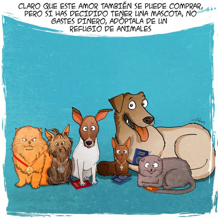 Este tierno comic refleja todo lo que vives cuando adoptas a un perro 