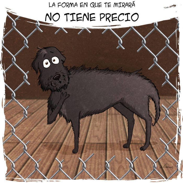 Este tierno comic refleja todo lo que vives cuando adoptas a un perro 