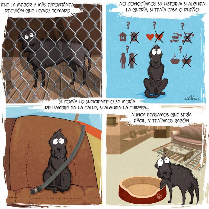 Este tierno comic refleja todo lo que vives cuando adoptas a un perro 