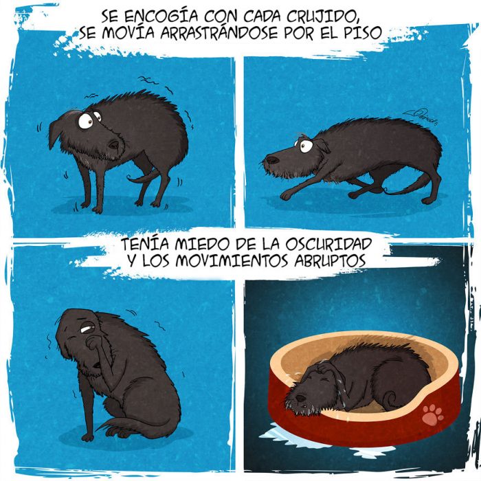 Este tierno comic refleja todo lo que vives cuando adoptas a un perro 