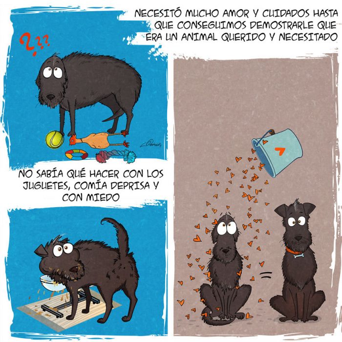 Este tierno comic refleja todo lo que vives cuando adoptas a un perro 